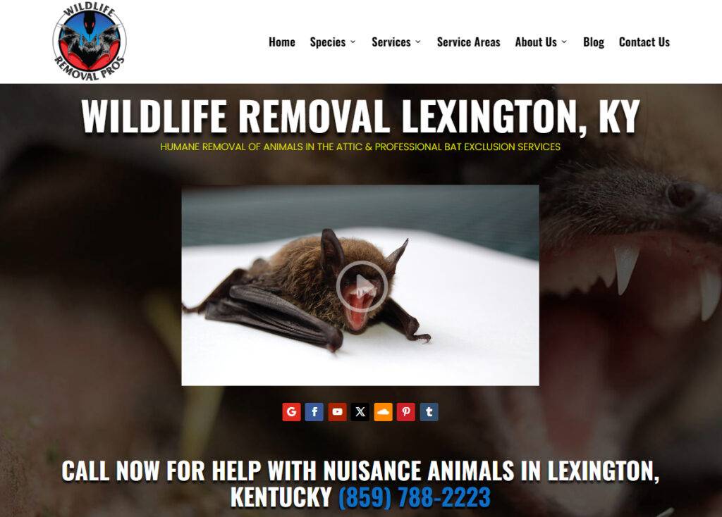 Wildlife Removal Lexington Kentucky
